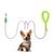 ZenPets Laisse de dressage pour chien de taille moyenne