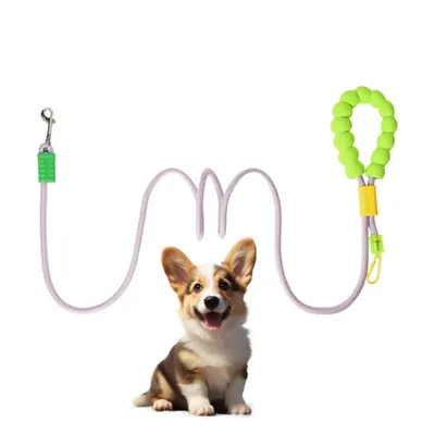 ZenPets Laisse de dressage pour chien de taille moyenne