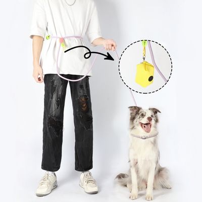 ZenPets Laisse de dressage pour chien de taille moyenne