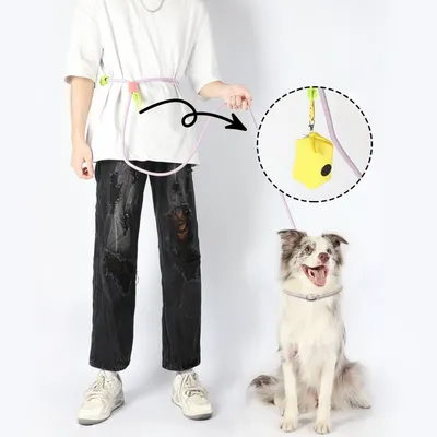 ZenPets Laisse de dressage pour chien de taille moyenne