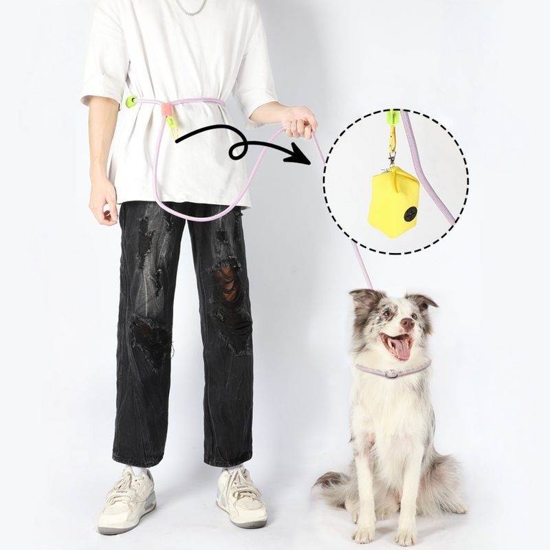 ZenPets Laisse de dressage pour chien de taille moyenne