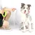 ZenPets Laisse de dressage pour chien de taille moyenne