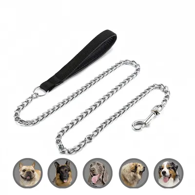 IntiMeg Laisse en chaîne pour chien de 120cm