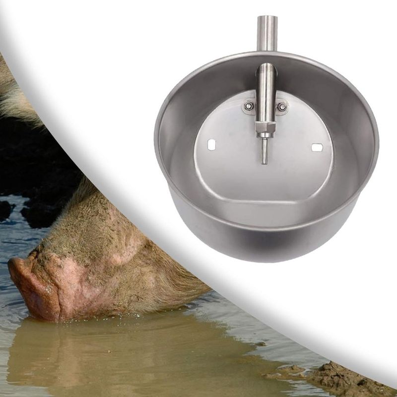 ZooVenture Abreuvoir Automatique Robuste En Acier Inoxydable Pour Cochons