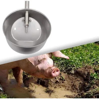 ZooVenture Abreuvoir Automatique Robuste En Acier Inoxydable Pour Cochons