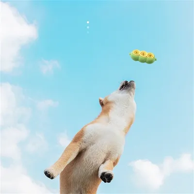 IntiMeg Puzzle de nourriture pour chien