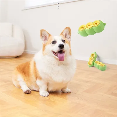 IntiMeg Puzzle de nourriture pour chien