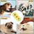 IntiMeg Puzzle de nourriture pour chien