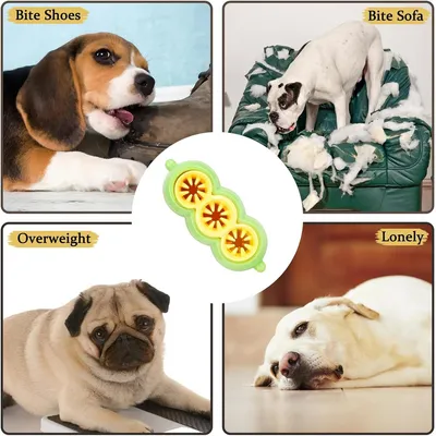 IntiMeg Puzzle de nourriture pour chien