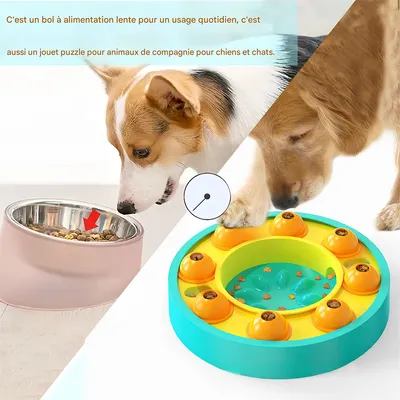 IntiMeg Jouet-bol à mangeoire lente pour chien