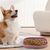 ZenPets Gamelle lente pour chiens et chats