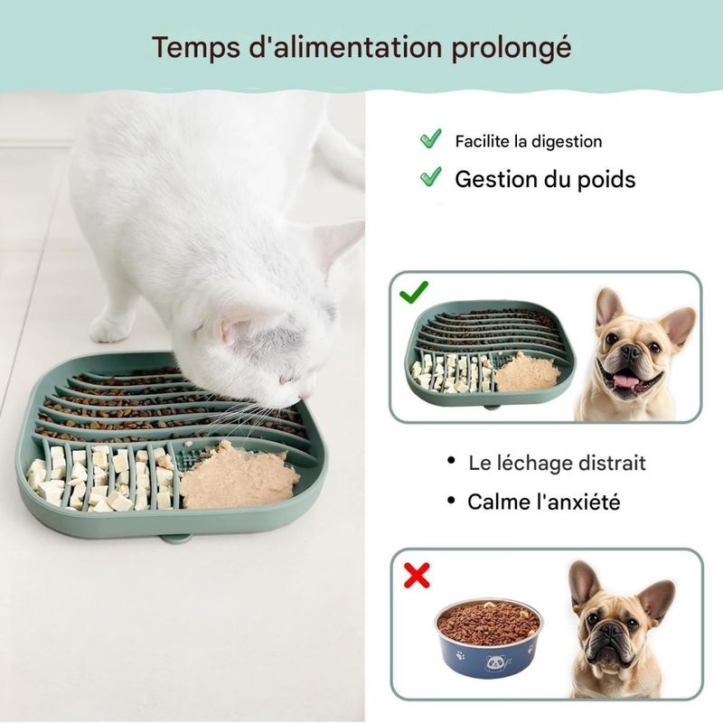 ZenPets Gamelle lente pour chiens et chats