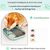 ZenPets Gamelle lente pour chiens et chats