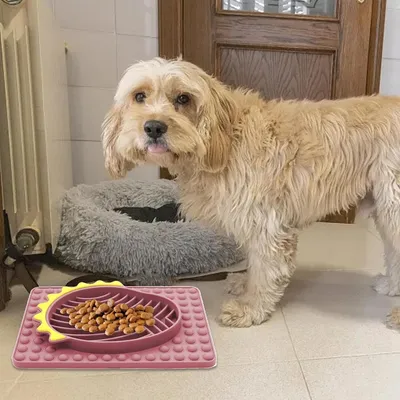 ZooVenture Tapis anti-fuite en silicone pour animaux de compagnie