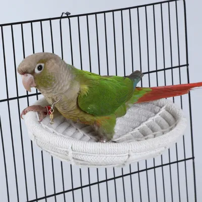 ZooVenture Nid en corde de coton pour petits oiseaux