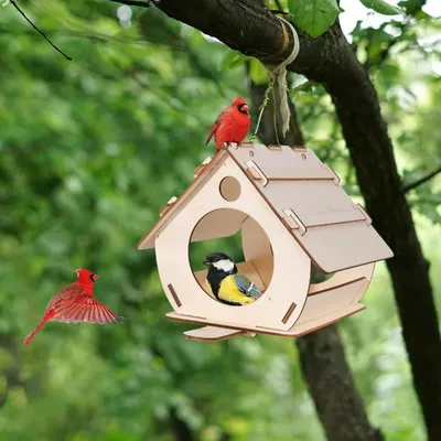 FurryFusion Nid d'oiseau en bois pour extérieur
