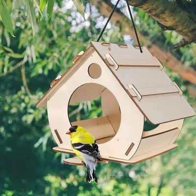 FurryFusion Nid d'oiseau en bois pour extérieur