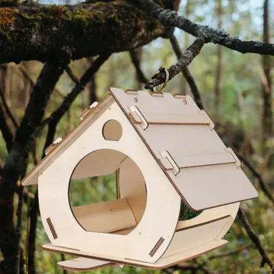 FurryFusion Nid d'oiseau en bois pour extérieur