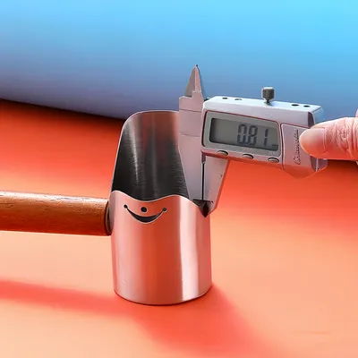 FurryFusion Pelle à nourriture pour chat en acier inoxydable