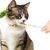UAMLY Pelle à nourriture pour chat compressible