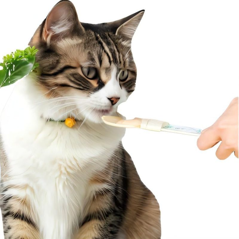 UAMLY Pelle à nourriture pour chat compressible