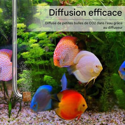 ZooVenture Difusor de CO2 para tubo de CO2 de 4 mm de diámetro interno