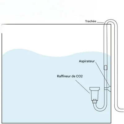 ZooVenture Difusor de CO2 para tubo de CO2 de 4 mm de diámetro interno