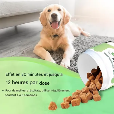 IntiMeg Comprimés à mâcher calmants pour chien