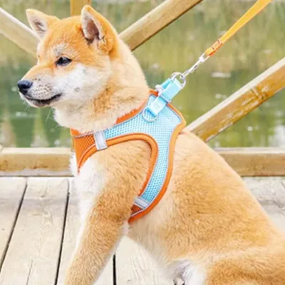 ZenPets Harnais pour chien et chat