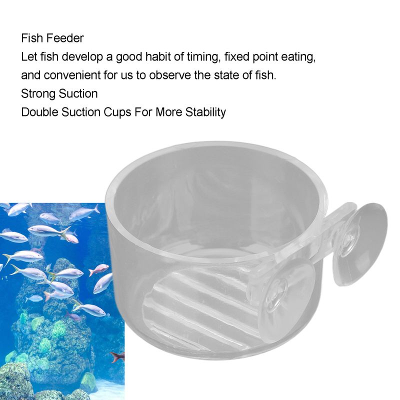 Mangeoire pour poissons tropicaux