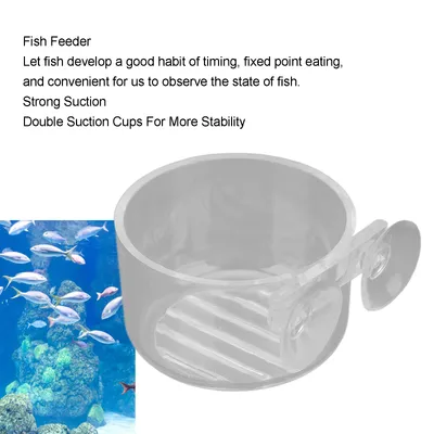 Mangeoire pour poissons tropicaux