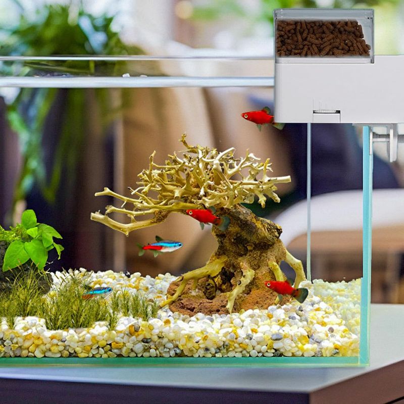 Distributeur automatique de nourriture pour aquarium