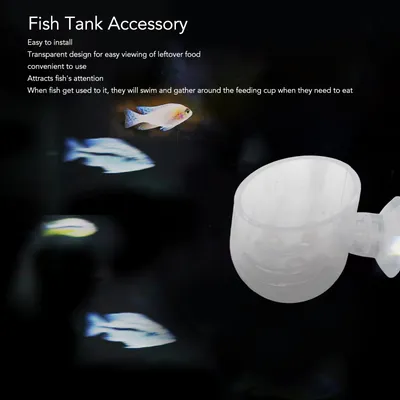 Petit mangeoire à poisson