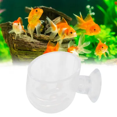 Petit mangeoire à poisson