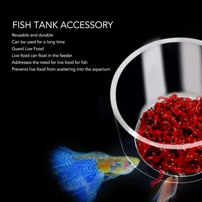 Petit mangeoire à poisson