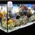 Mangeoire automatique fish tank