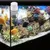 Mangeoire automatique fish tank