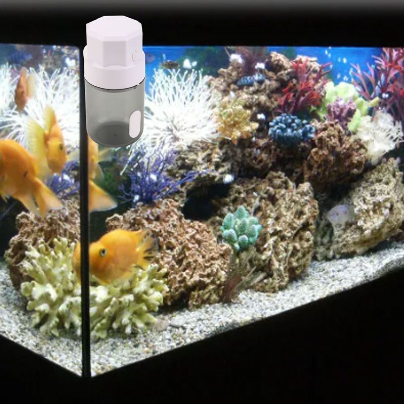 Mangeoire automatique fish tank
