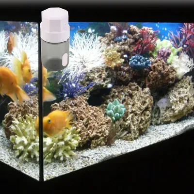 Mangeoire automatique fish tank