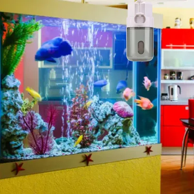 Mangeoire automatique fish tank
