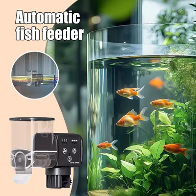 Distributeur de nourriture pour poissons d'aquarium  avec minuteur