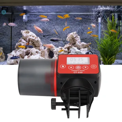 Mangeoire automatique chronométré