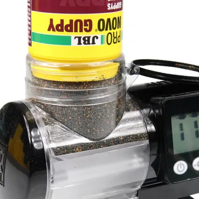 Mangeoire automatique fish tank