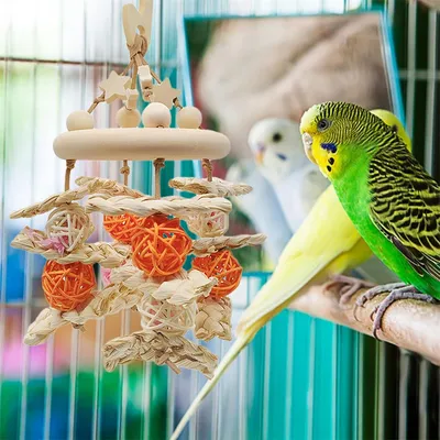 IntiMeg Jouet pour perroquet en bois naturel