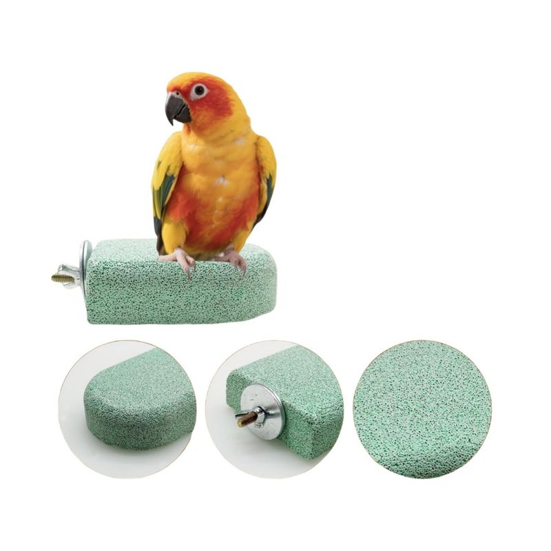 ZenPets Perchoir pour oiseaux et petits animaux
