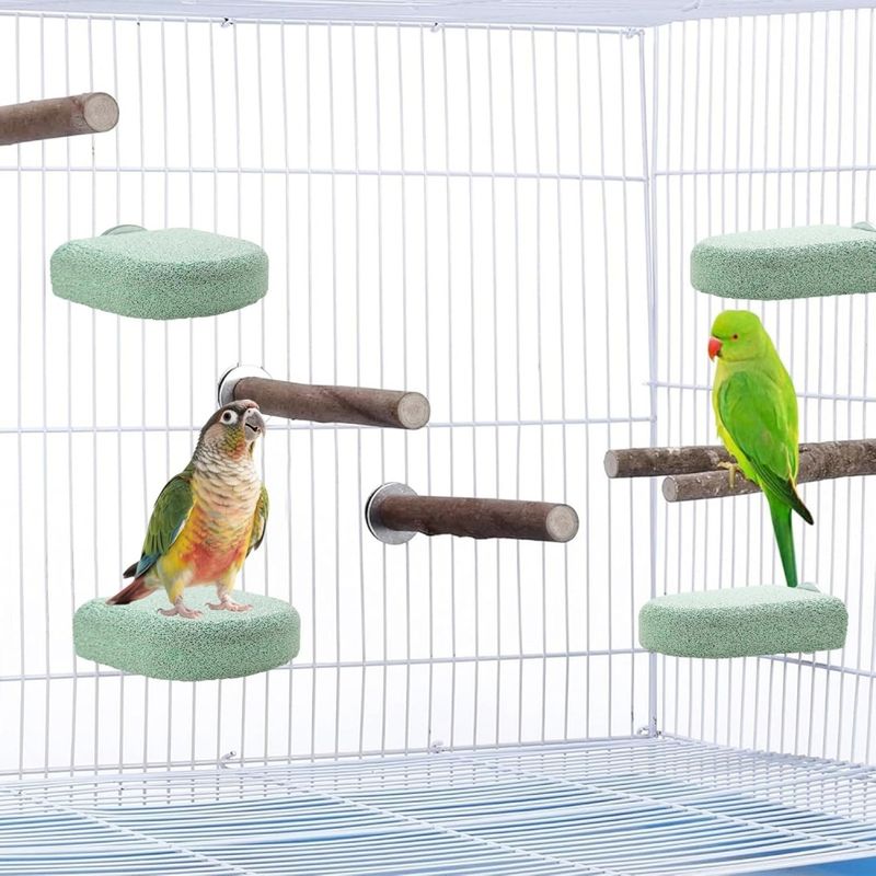 ZenPets Perchoir pour oiseaux et petits animaux