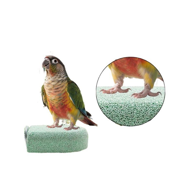 ZenPets Perchoir pour oiseaux et petits animaux