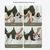 FurryFusion Hamac de toilettage pour chats et chiens
