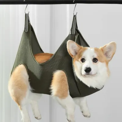 FurryFusion Hamac de toilettage pour chats et chiens