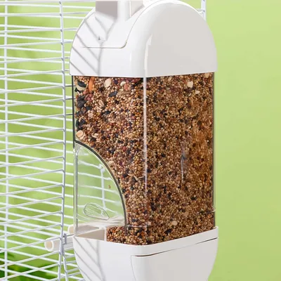 FurryFusion Mangeoire automatique pour oiseaux 800 ml